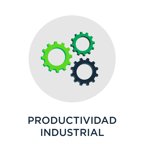 4.10 productividad industrial